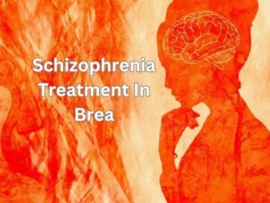 Schizophrenia Treatment In Brea
