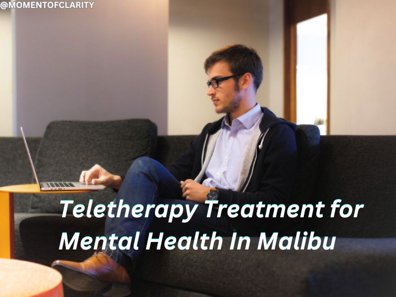 Teletherapy Treatment for Mental Health In Malibu
